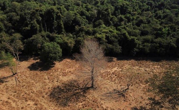 2022: un año de emergencia climática real