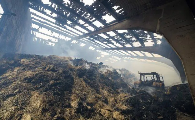 Un incendio en una nave ganadera de Fuentemolinos deja 300 ovejas muertas
