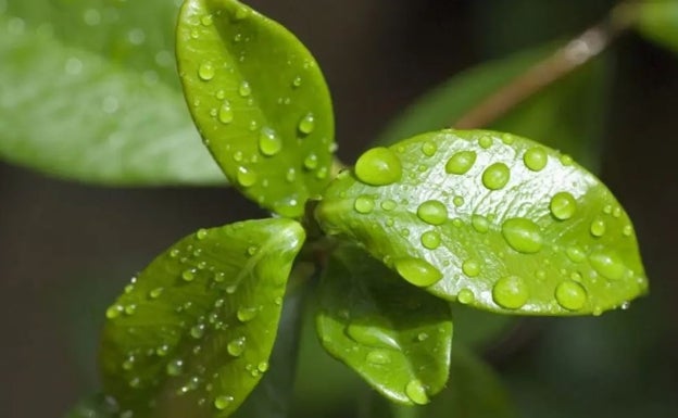 Crean una tecnología solar que captura agua del aire para generar hidrógeno