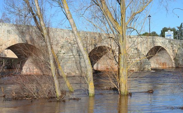 El río Arlanza a su paso por Lerma entra en situación de alerta nivel naranja