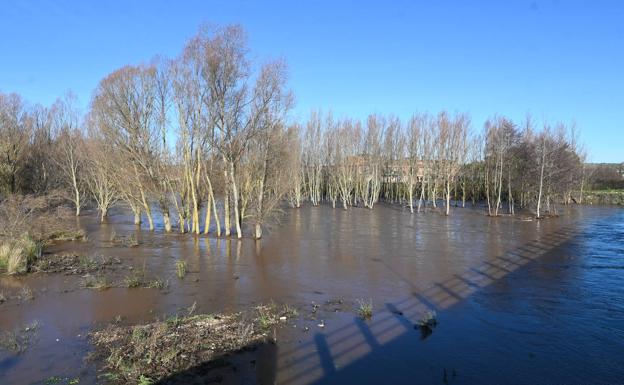 La CHD mantiene el nivel de alerta en el Arlanza a su paso por Peral