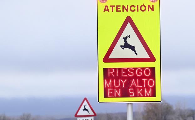 Burgos se acerca a los 3.000 accidentes de tráfico con fauna salvaje al año