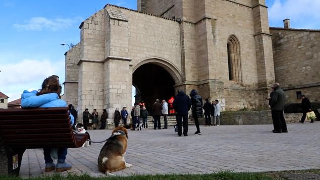 Los burgaleses abrigan a sus mascotas para bendecirlas en San Antón