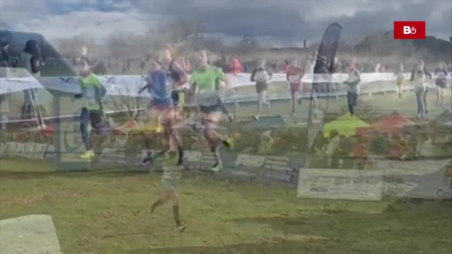 Campeonato regional de cross