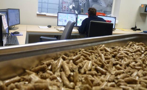 La producción de pellets se incrementa un 25,8 % en Castilla y León en 2022