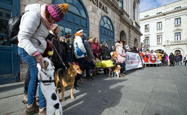 «La Ley de Bienestar Animal está hecha sin contar con los profesionales veterinarios»