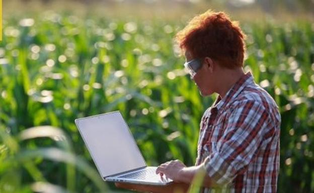 Convocadas las ayudas estatales para la agricultura de precisión y las tecnologías 4.0