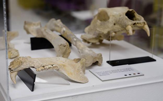 La exposición 'Burgos, tesoros ocultos' se presenta en Gamonal