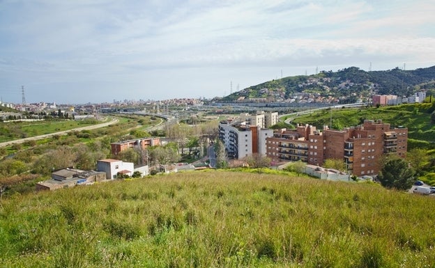 Las hortalizas catalanas que plantan cara al hormigón en Barcelona