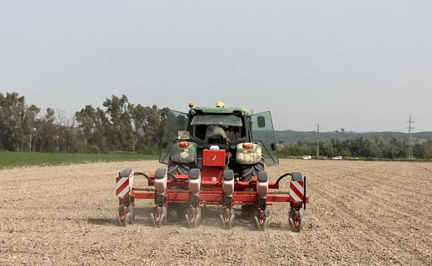 Los productores de maíz buscan valor añadido con la reducción de CO2