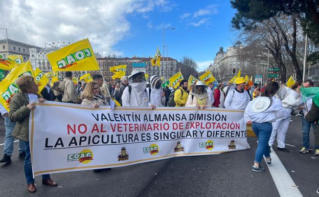 El sector apícola pide medidas ante la «crisis estructural» que sufre