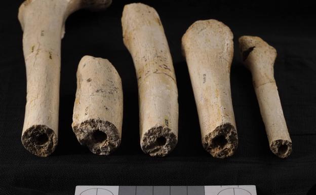 Un estudio ratifica que los carnívoros no intervinieron en la acumulación de restos humanos en la Sima de los Huesos