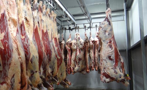 La producción de carne continúa cayendo en Burgos